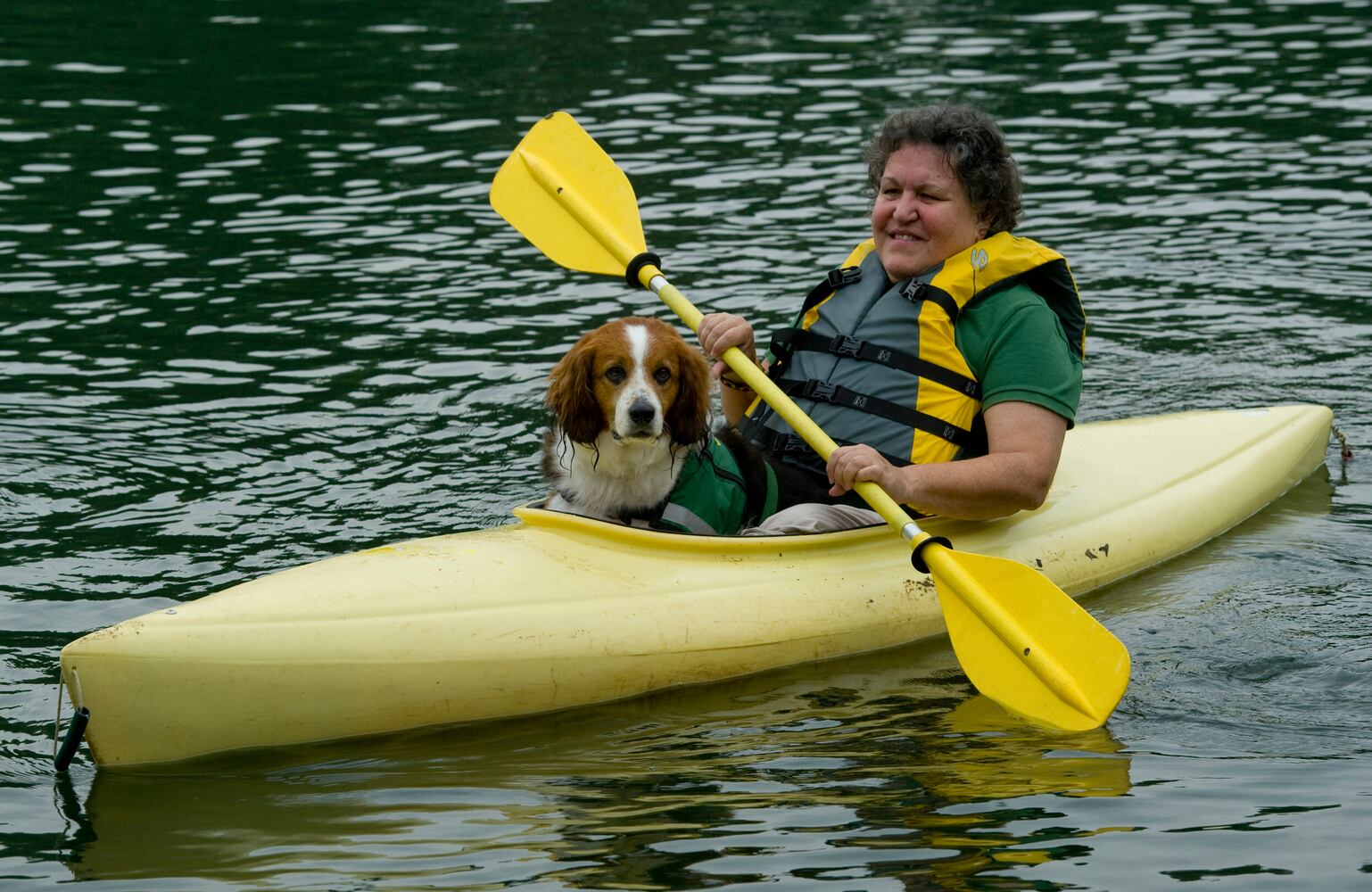 News hounds (7/9/15)