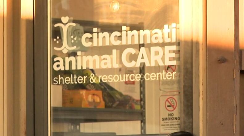 Cincinnati Animal CARE is restricting dog intake. WCPO/CONTRIBUTED
