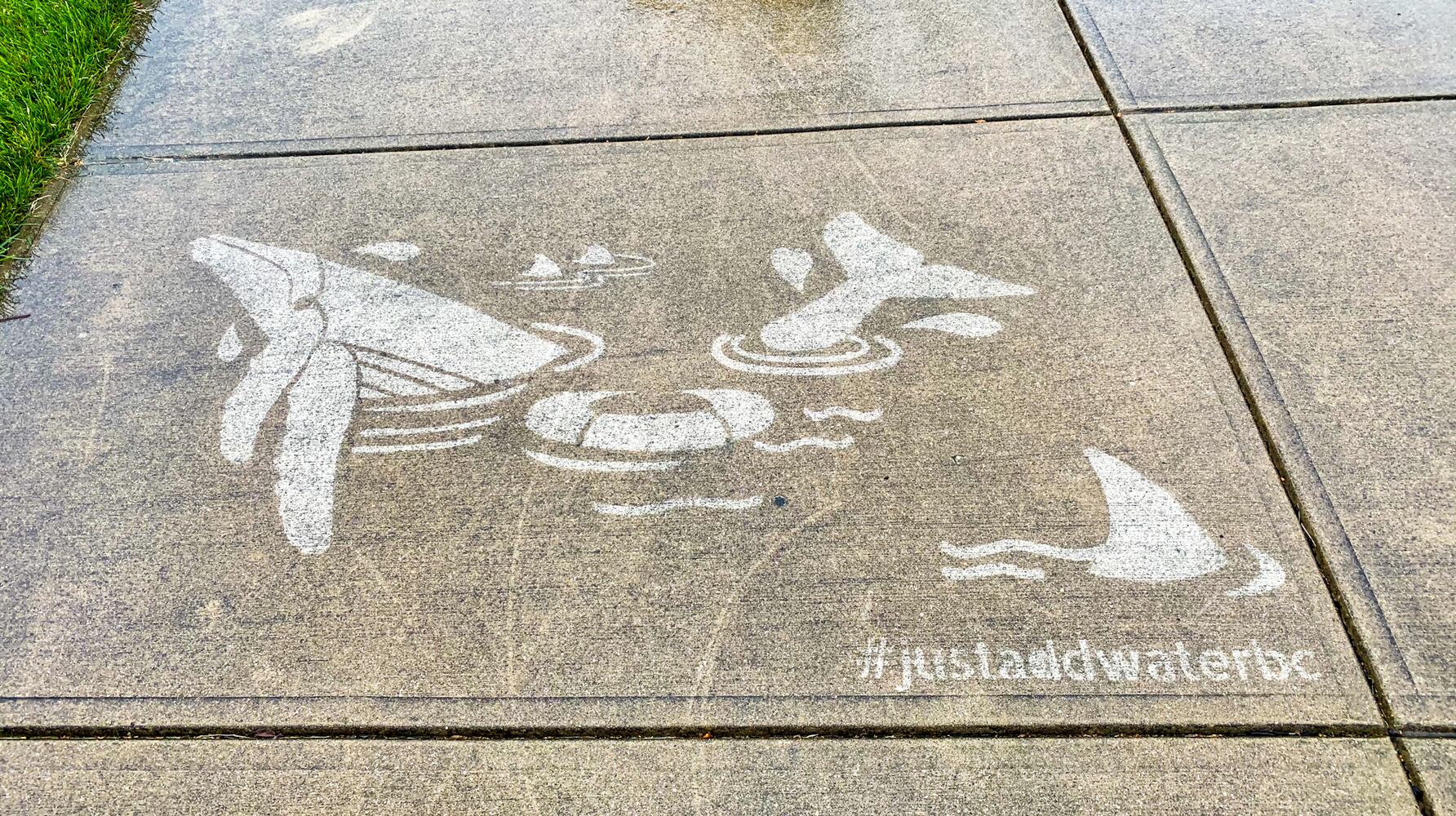 PHOTOS: Just Add Water