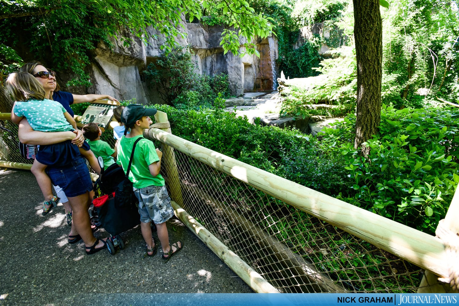 Gorilla Exhibit re-opens