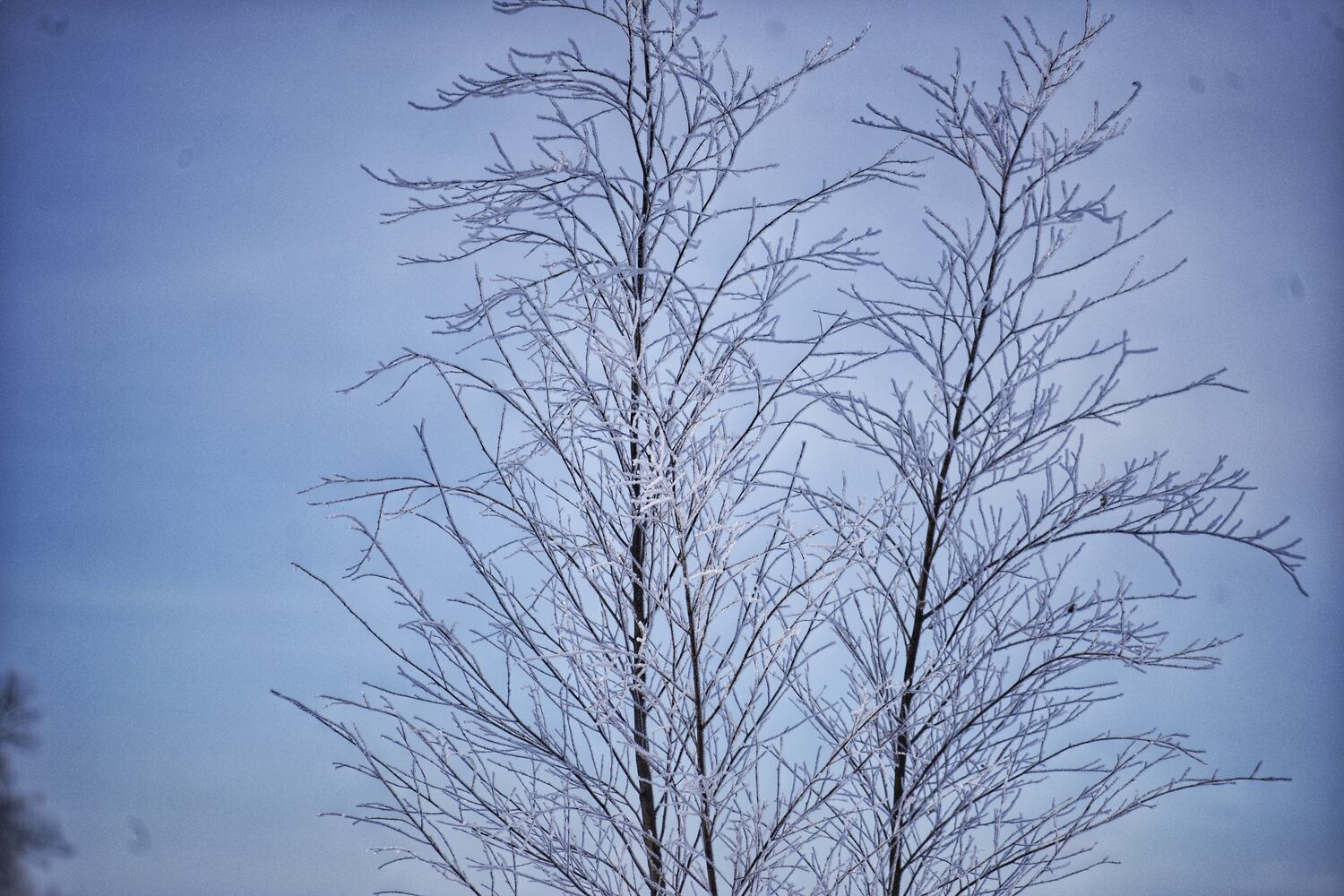 021721 snow