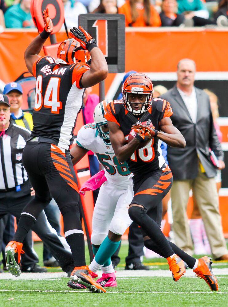 Bengals vs. Dolphins