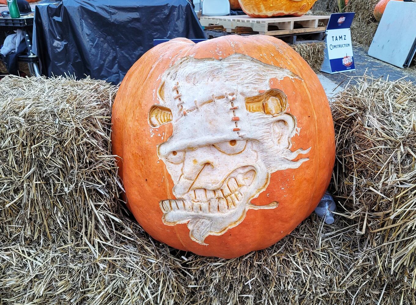 100921 Operation Pumpkin Hamilton