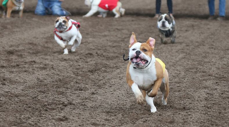 (Jerry Holt/Minneapolis Star Tribune/TNS)