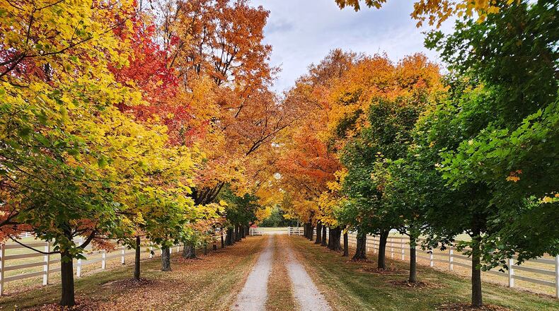 Butler County has been beautiful during the changing of the leaf colors this fall. See more photos like this one by Photojournalist Nick Graham at journal-news.com. We are thankful for your readership.