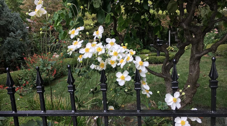 Those who take an OSU Extension Master Gardener class can learn to tend flowers like these, in Hamilton. MIKE RUTLEDGE/STAFF
