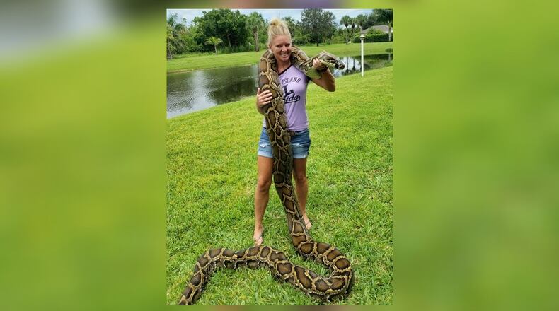 Amy Siewe with the 17-foot-3 inch python she captured last July of the Tamiami Trail in the Everglades. Amy, a former Fairmont High athlete and homecoming queen and University of Toledo tennis player, is now a python hunter contracted by the South Florida Water Management District to help rid the Everglades of the invasive pythons that are killing all the animals and birds they come in contact with and wrecking the ecosystem. CONTRIBUTED