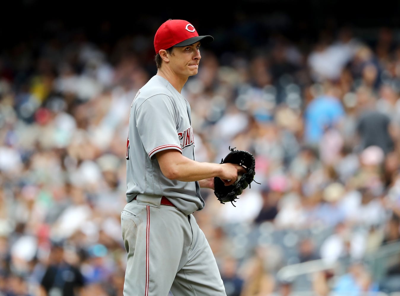 Reds fall to Yankees