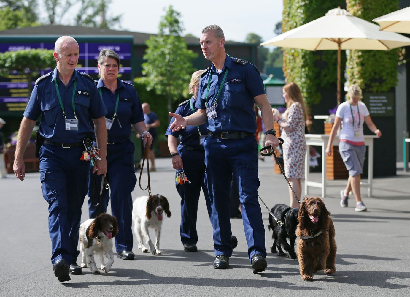 News hounds (7/9/15)