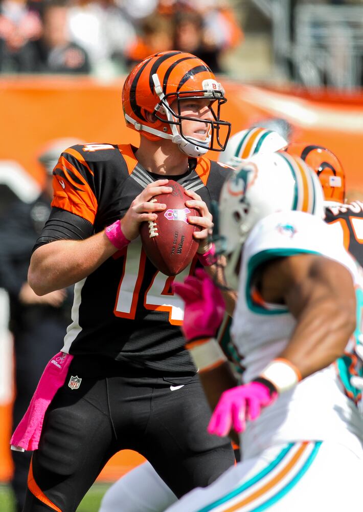 Bengals vs. Dolphins
