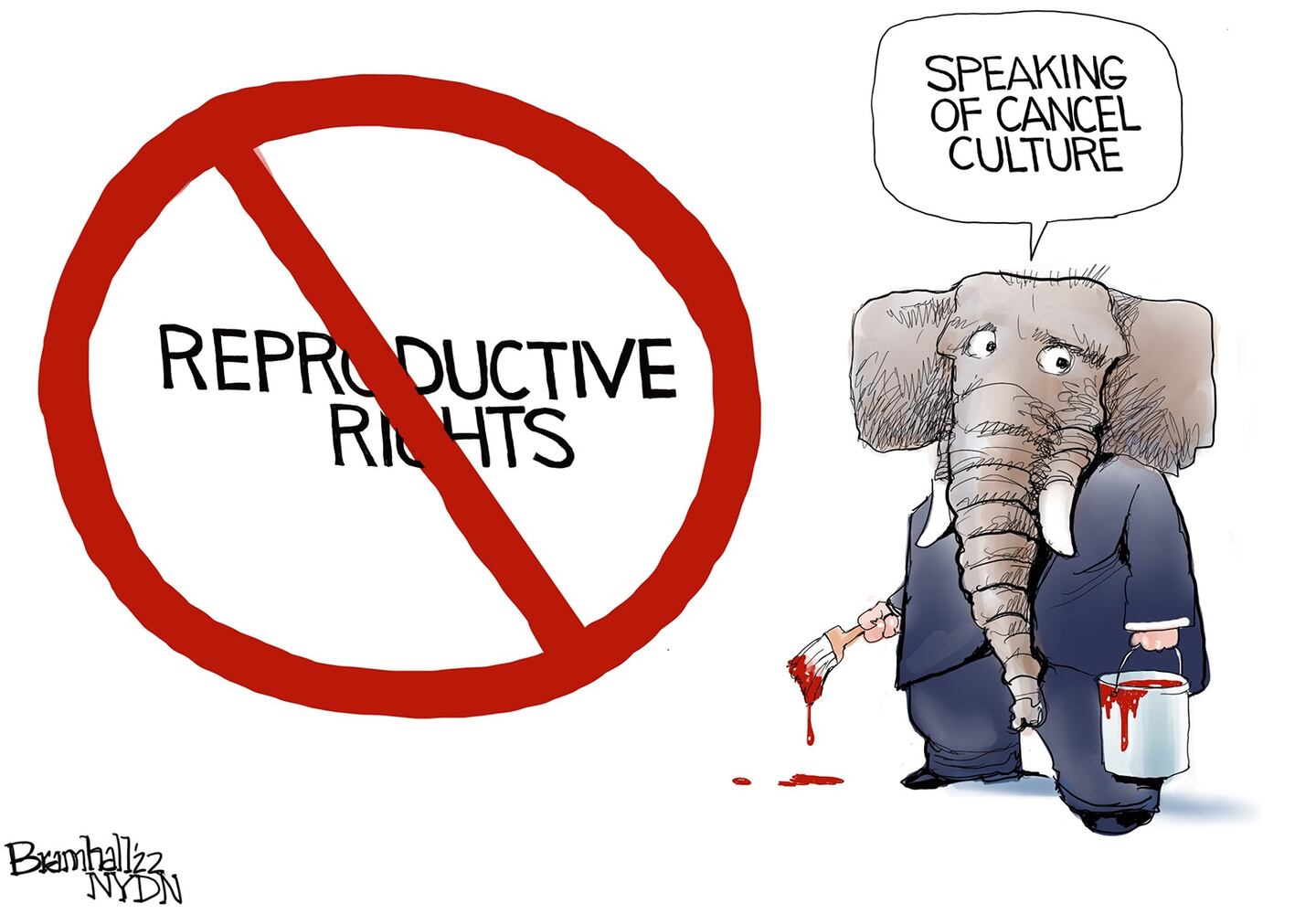 WEEK IN CARTOONS: Supreme Court leak, Roe v. Wade and more