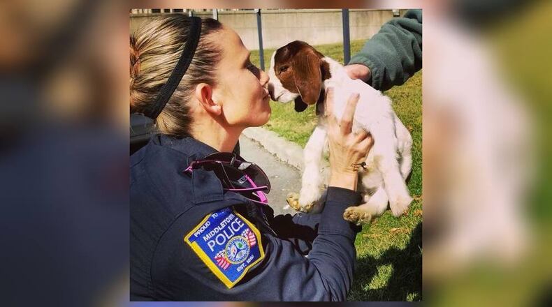 A goat visited the Middletown police department on Tuesday, March 8, 2018. MIDDLETOWN POLICE FACEBOOK PAGE