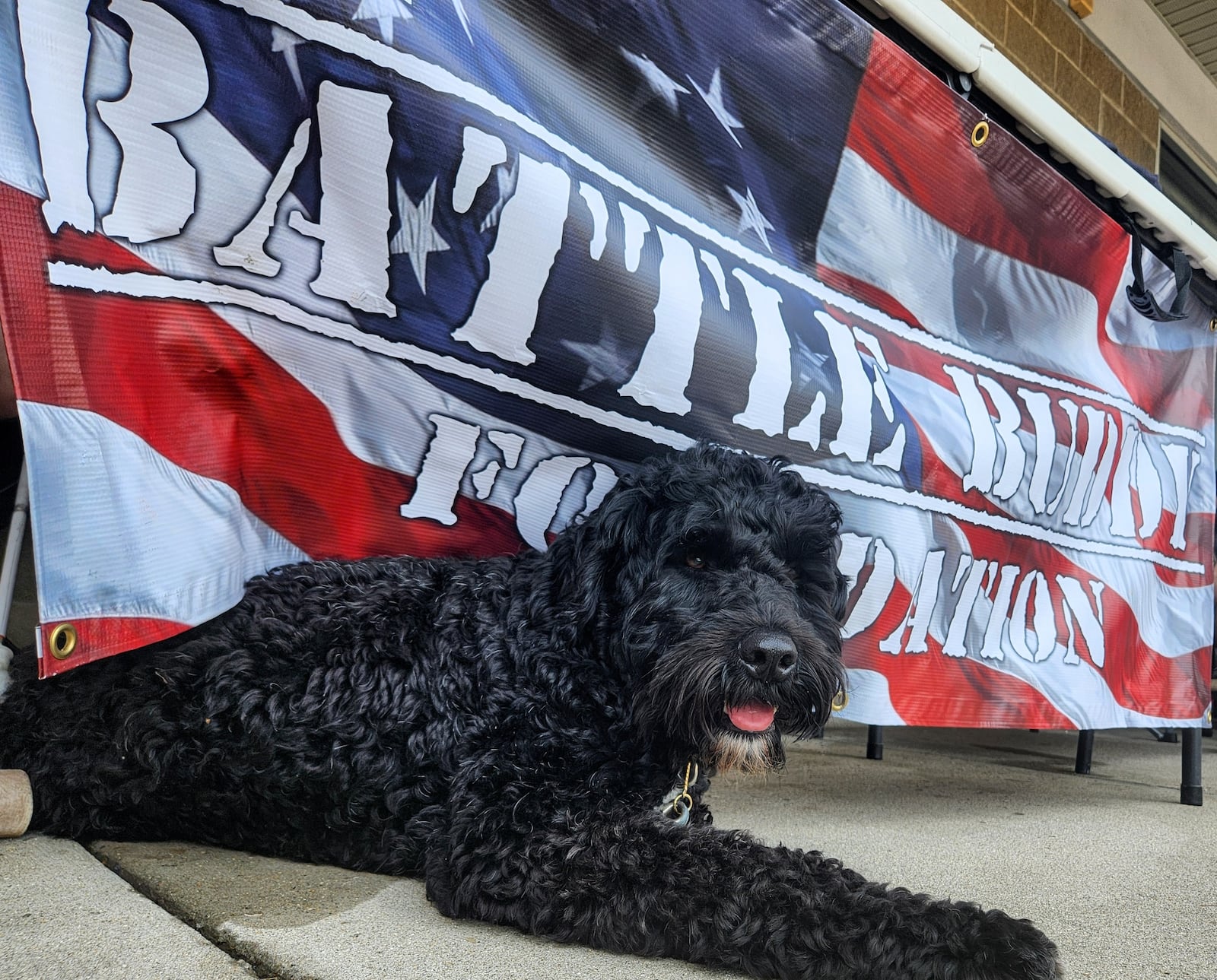 The Battle Buddy Foundation is a nonprofit dedicated to helping other veterans experience support through trained service dogs. CONTRIBUTED