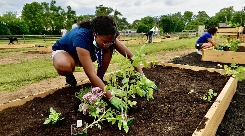 Jada Patto, 15, is one of 16 Middletown High School students planting their own raised beds at the Middletown Community Gardens, part of Butler County MetroParks, next to the Sonny Hill Community Center during the summer break. The agricultural project is part of a summer leadership program designed to broadened the experiences and skill sets of city youth. Funded by local and state monies, the harvest of vegetables in the fall will go to their families and fellow students. The Leadership Academy is a program developed by Marie Edwards of The Rise After School and Mentoring Program in 2019. It is a six week summer leadership program that is available to Middletown High School students in grades 9 - 11. The Leadership Academy is intended to introduce students to entrepreneurial, leadership, and soft skills to help them in their future endeavors. NICK GRAHAM / STAFF