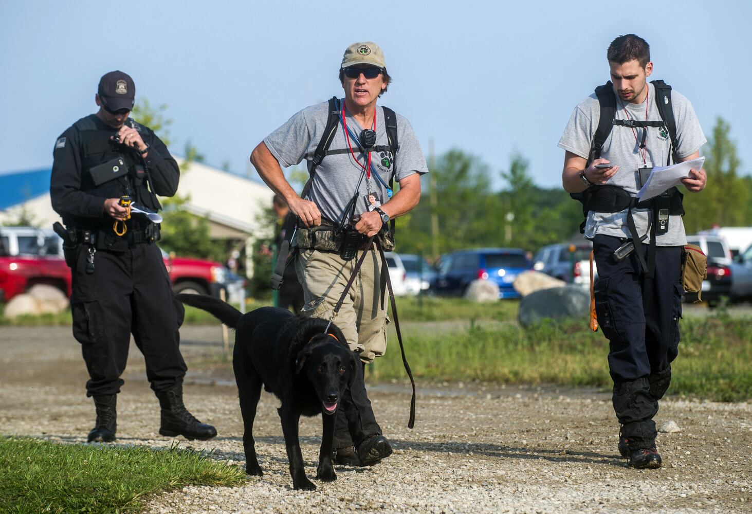 News hounds (7/9/15)