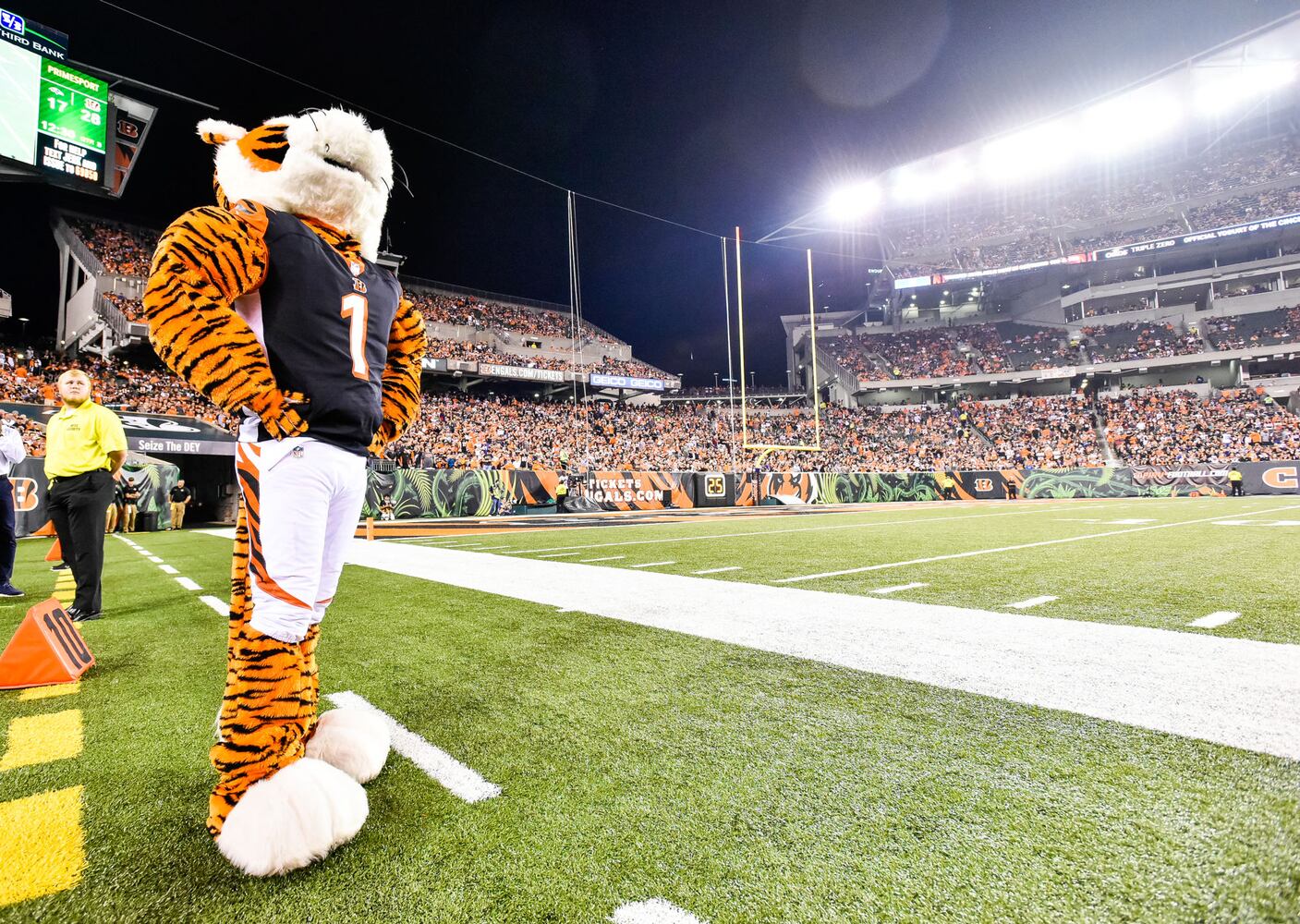 Bengals vs Ravens Football