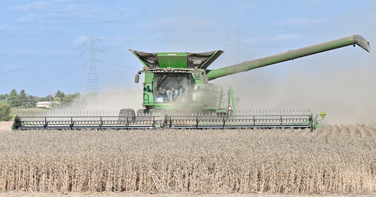 Area farmers react to China’s pledge to buy U.S. soybeans