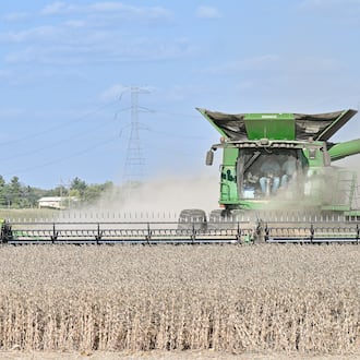 Farmers harvest soybeans in a field near Ohio 202 near Tipp City on Monday, Sept. 29, 2025. Tariffs on China and stalled trade negotiations are threatening the financial stability of soybean farmers nationwide. BRYANT BILLING/STAFF