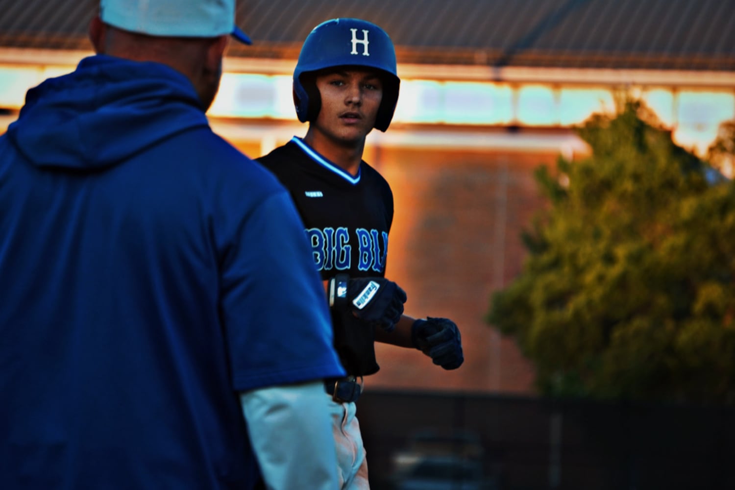Hamilton player