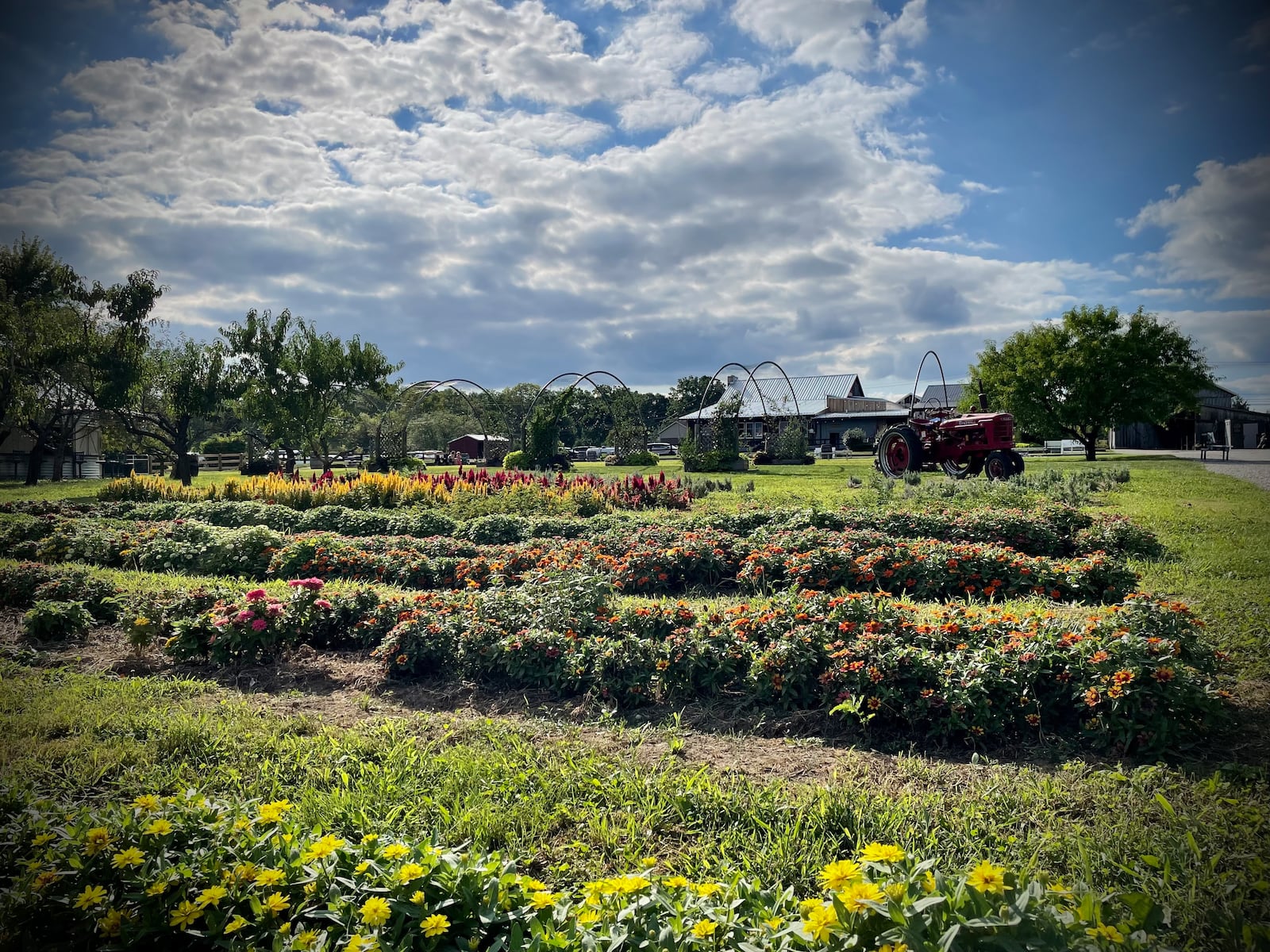 Hidden Valley Orchards is preparing for its first fall season under new ownership with new food offerings and activities for kids. NATALIE JONES/STAFF