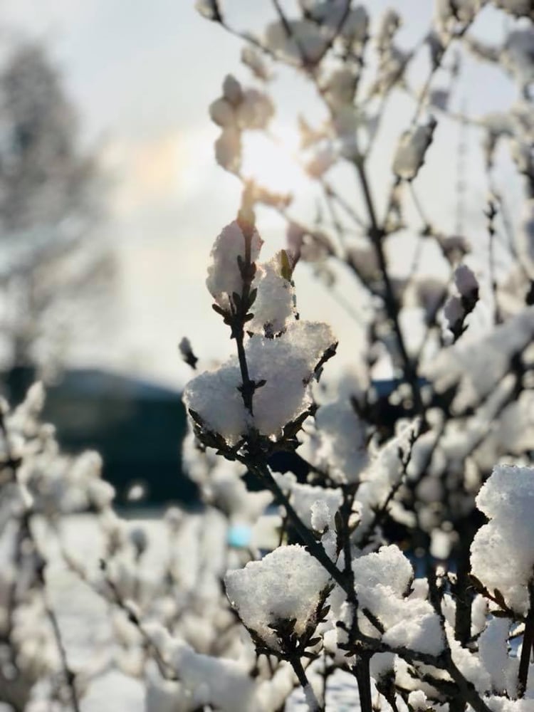PHOTOS: Miami Valley gets a coating of snow  in April (User-submitted photo)