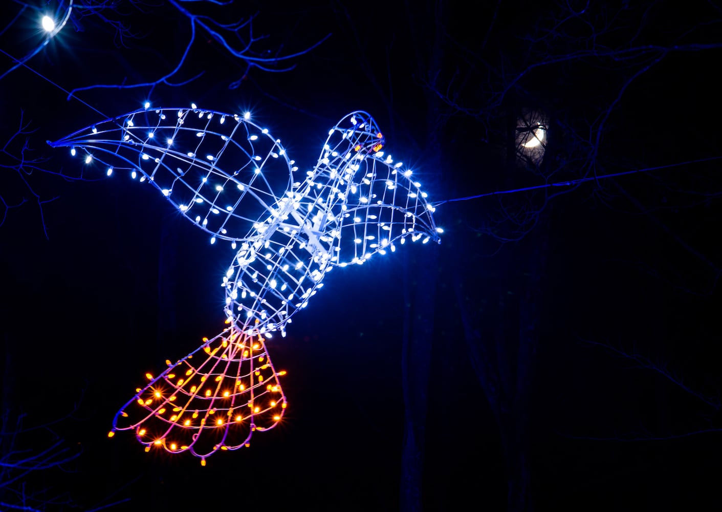 111920 Journey Borealis at Pyramid Hill drive-thru holiday light display