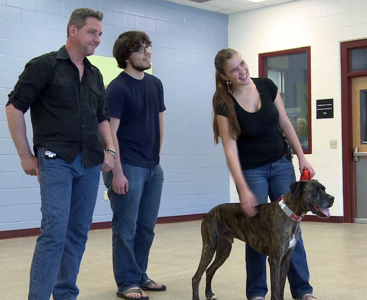 News hounds (8/13/15)