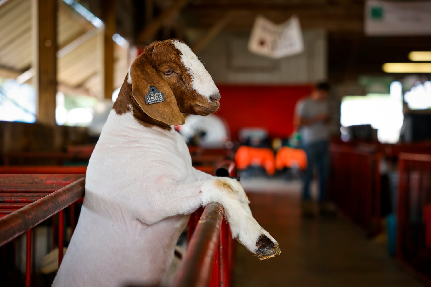 072225 BC Fair Tuesday