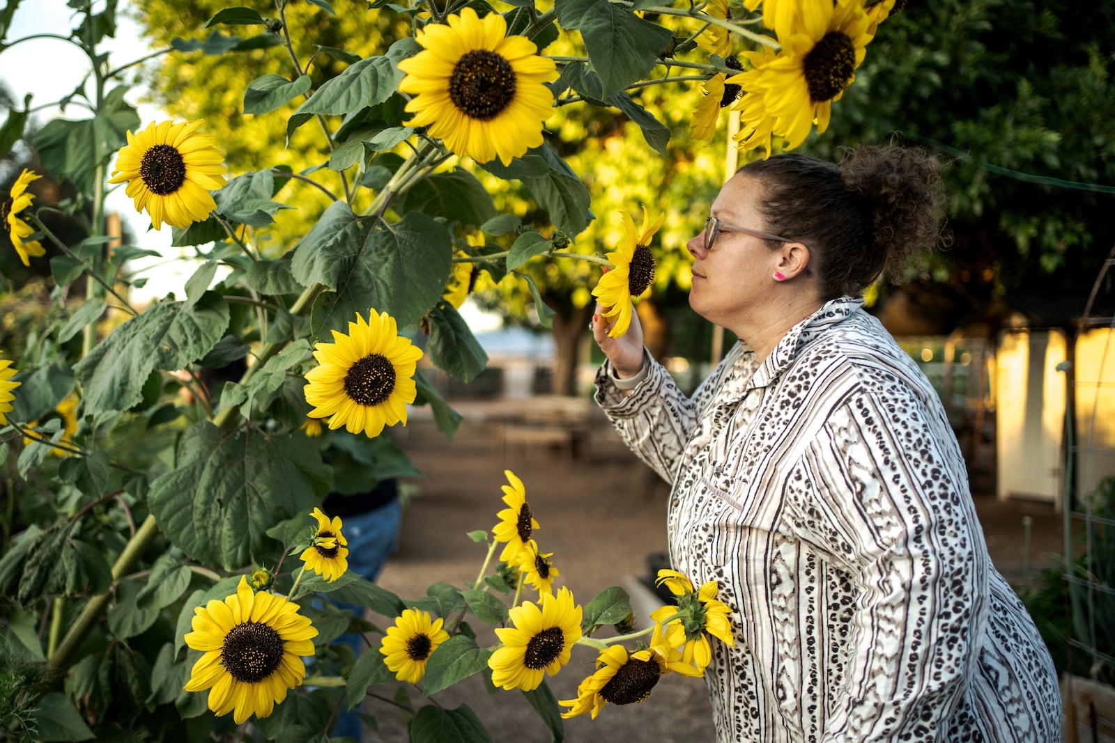 Sabrina Mathisen stops to smell the flowers at a garden in Agritopia, a community nestled around a plot of agricultural land, April 21, 2025, in Gilbert, Ariz. (AP Photo/Annika Hammerschlag)