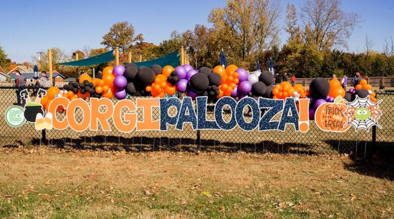 Hosted by Cincy Corgis and sponsored by Pembroke Plumbing, LLC, , Corgipalooza will be held 11 a.m.-4 p.m. Oct. 18 at Horsepower Farm in Middletown. Provided.