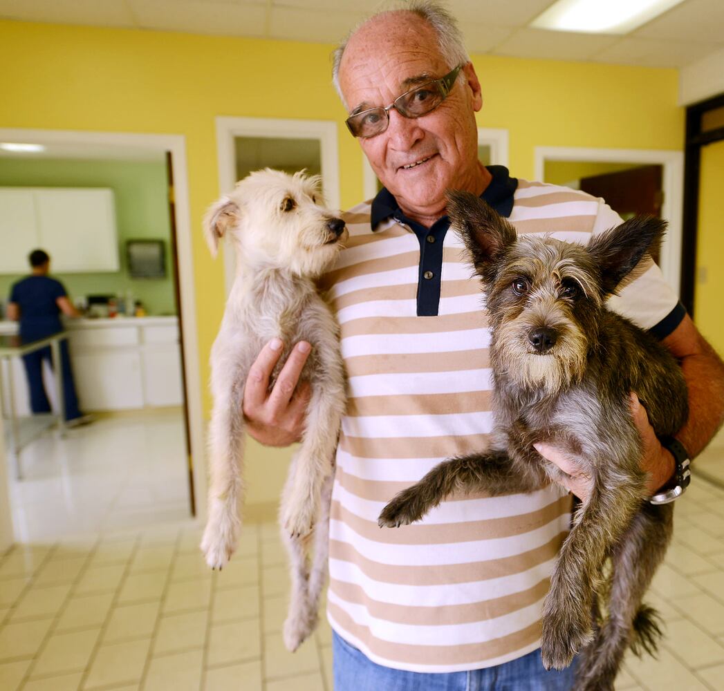 News hounds (7/9/15)