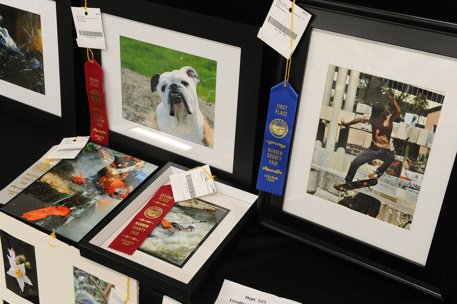 WARREN COUNTY FAIR