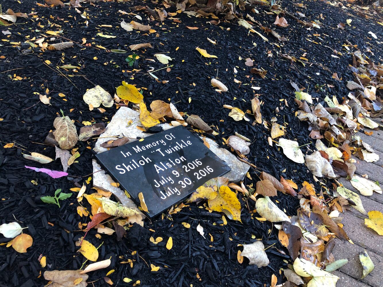 HEAL Garden dedicated to those lost during pregnancy or after birth