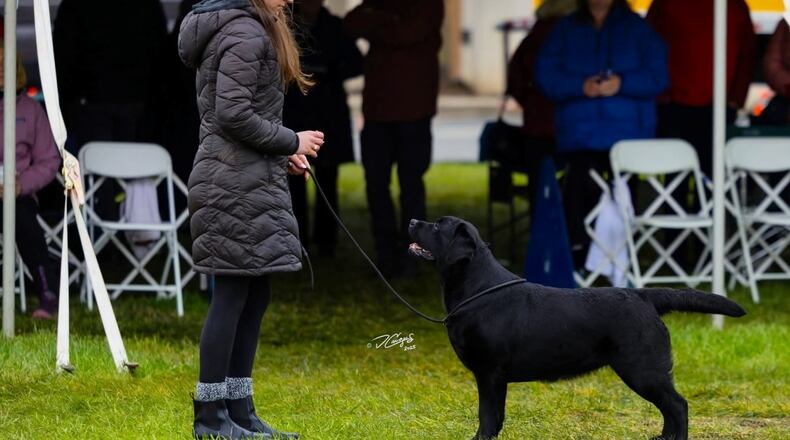 Josie and Uhla going through their paces. DAIELA CAVAZOS/CONTRIBUTED