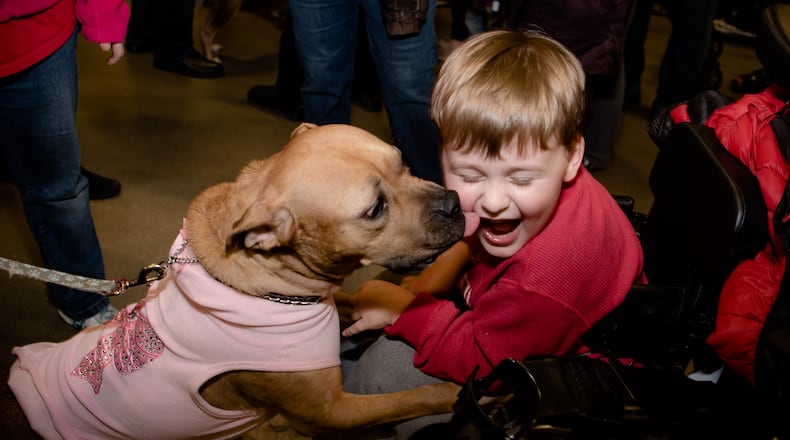 My Furry Valentine, the region’s largest animal adoption event, will host its first-ever summer event at the Sharonville Convention Center. The weekend-long event will feature hundreds of adoptable dogs, cats, puppies, kittens and other small critters from dozens of shelters and rescue organizations in the Greater Cincinnati area. CONTRIBUTED