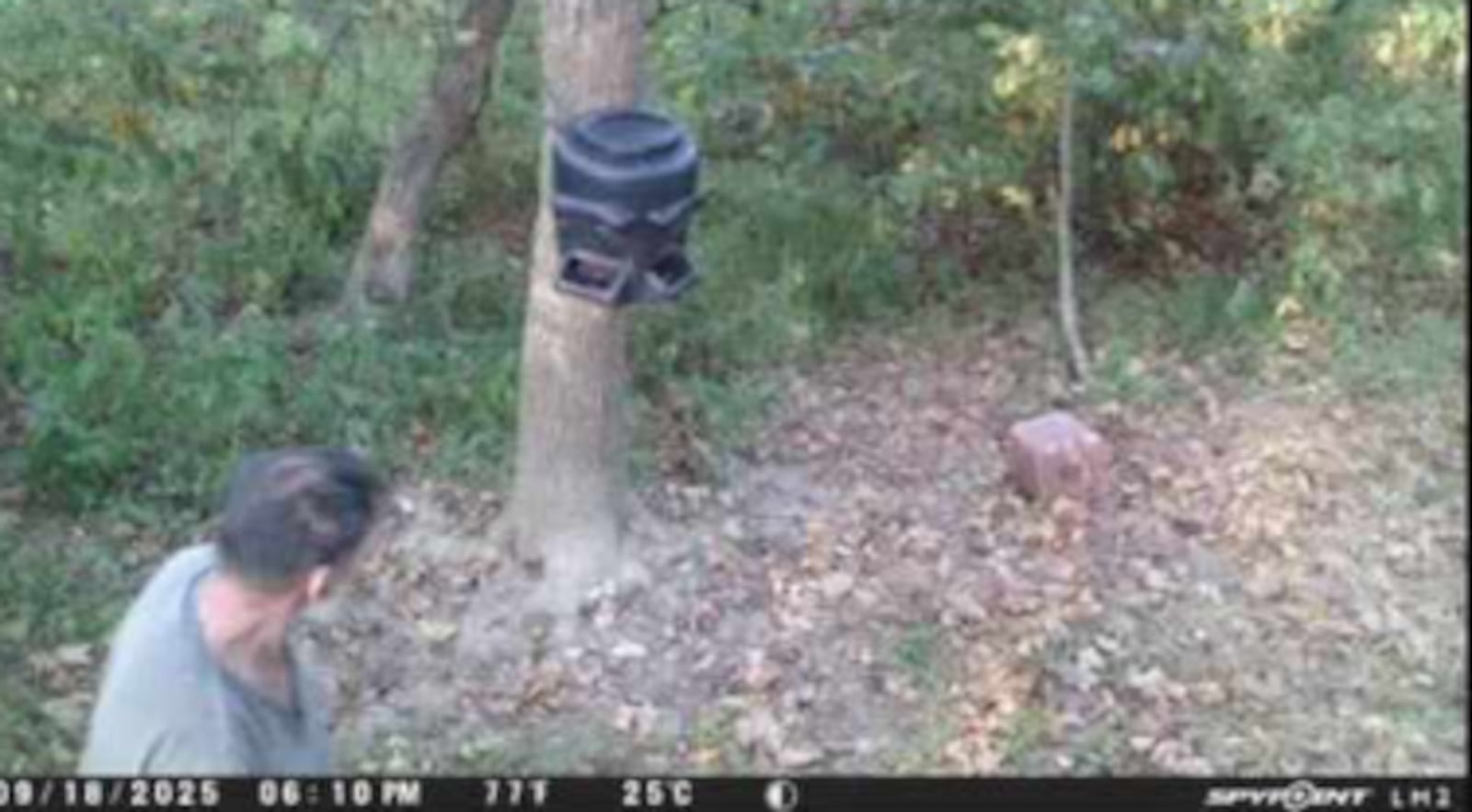 Jerry Cooper caught on a trail camera. PROVIDED/WCPO