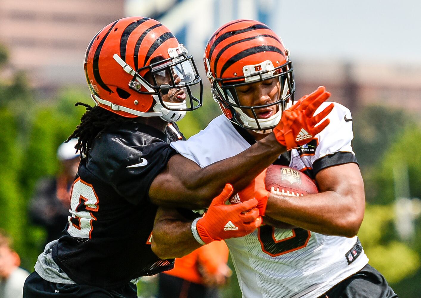 Bengals Training Camp Day 1
