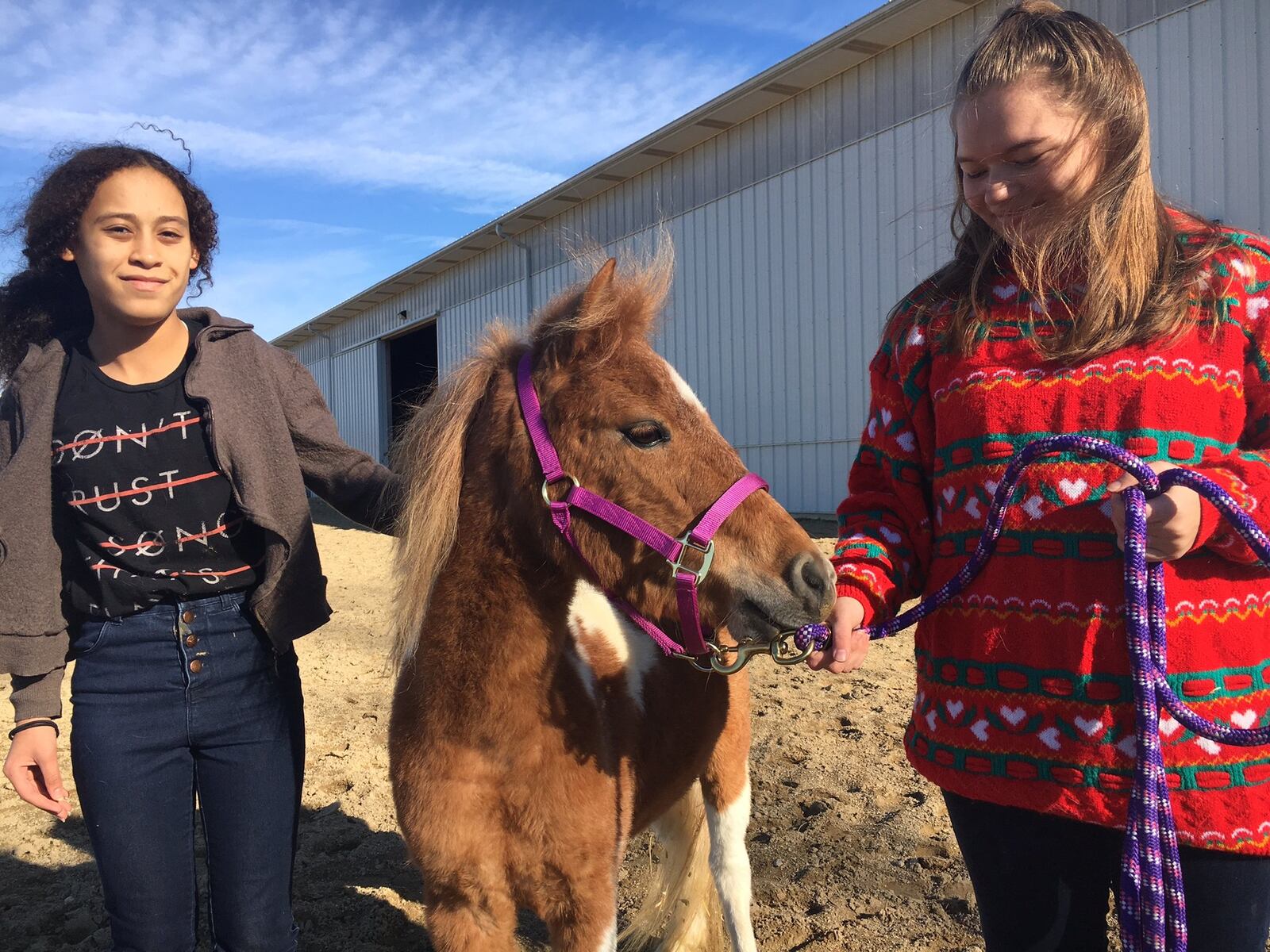 Abandoned miniature horse Sandy was taken in by students at Butler Tech’s Animal Science Center in Monroe. The students - including Elena Gonzalez (left) and Casey James - and Sandy have bonded while also learning how to care for a previously abused animal.