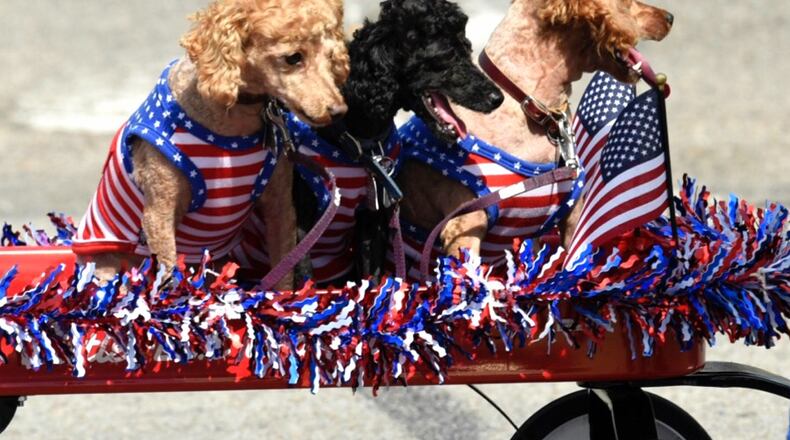 There are plenty of Fourth of July festivities in Middletown, including the annual Fourth of July Parade on Thursday, July 4, a Fourth of July Festival on Wednesday, July 3, and Red, White, and Food on Wednesday, July 3, 2024. Pictured are dogs riding a wagon at a previous Middletown’s Independence Day parade. NICK GRAHAM/STAFF