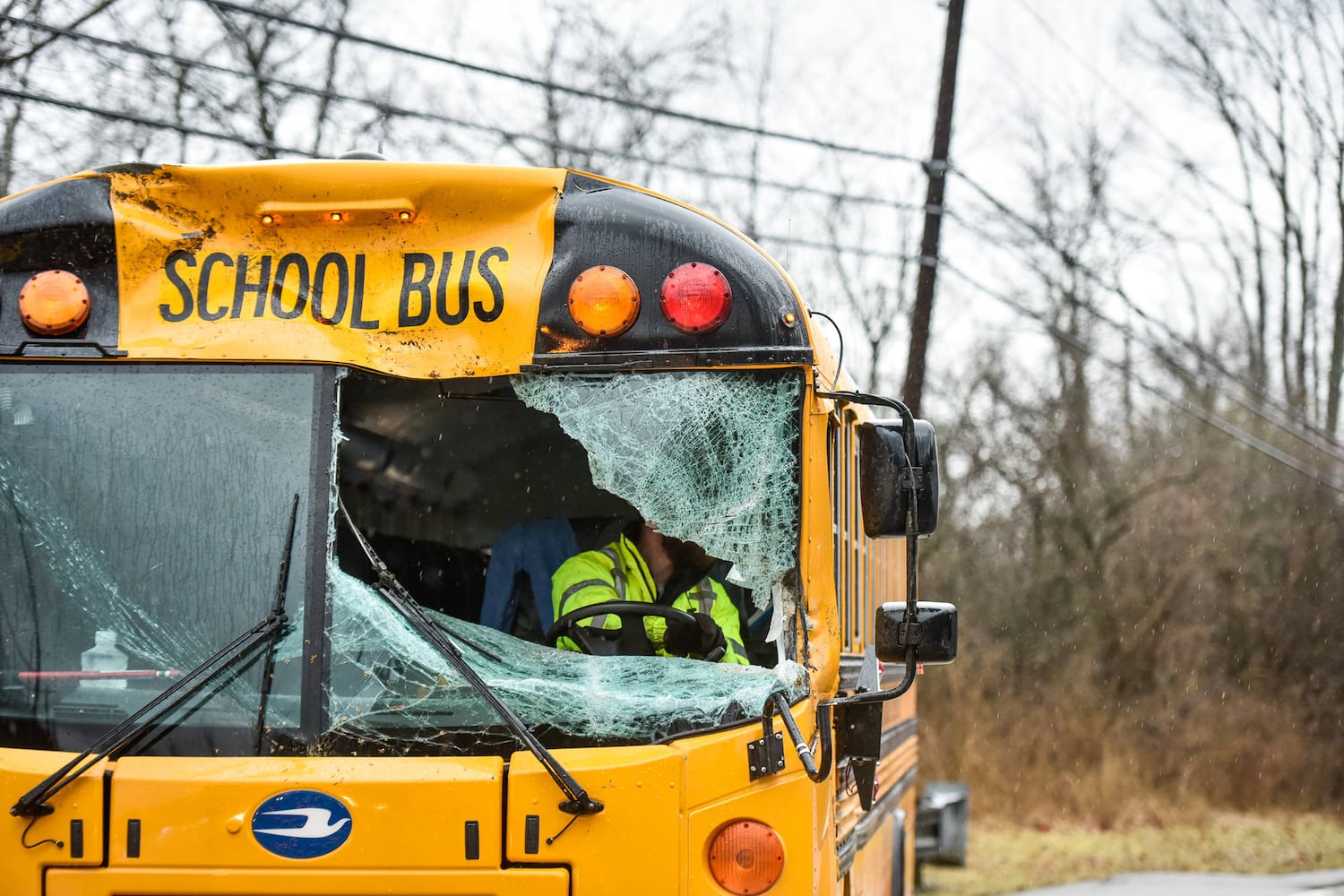 Driver injured when tree falls on bus