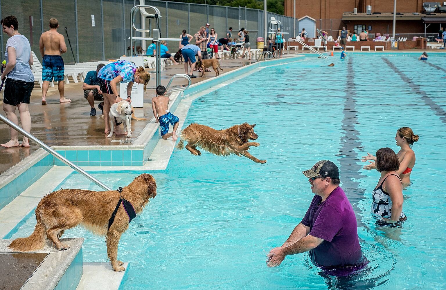 News hounds (9/3/15)