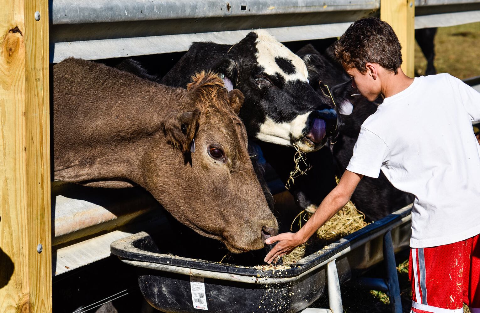 Jackson Family Farm offers visitors a chance to learn about farm life