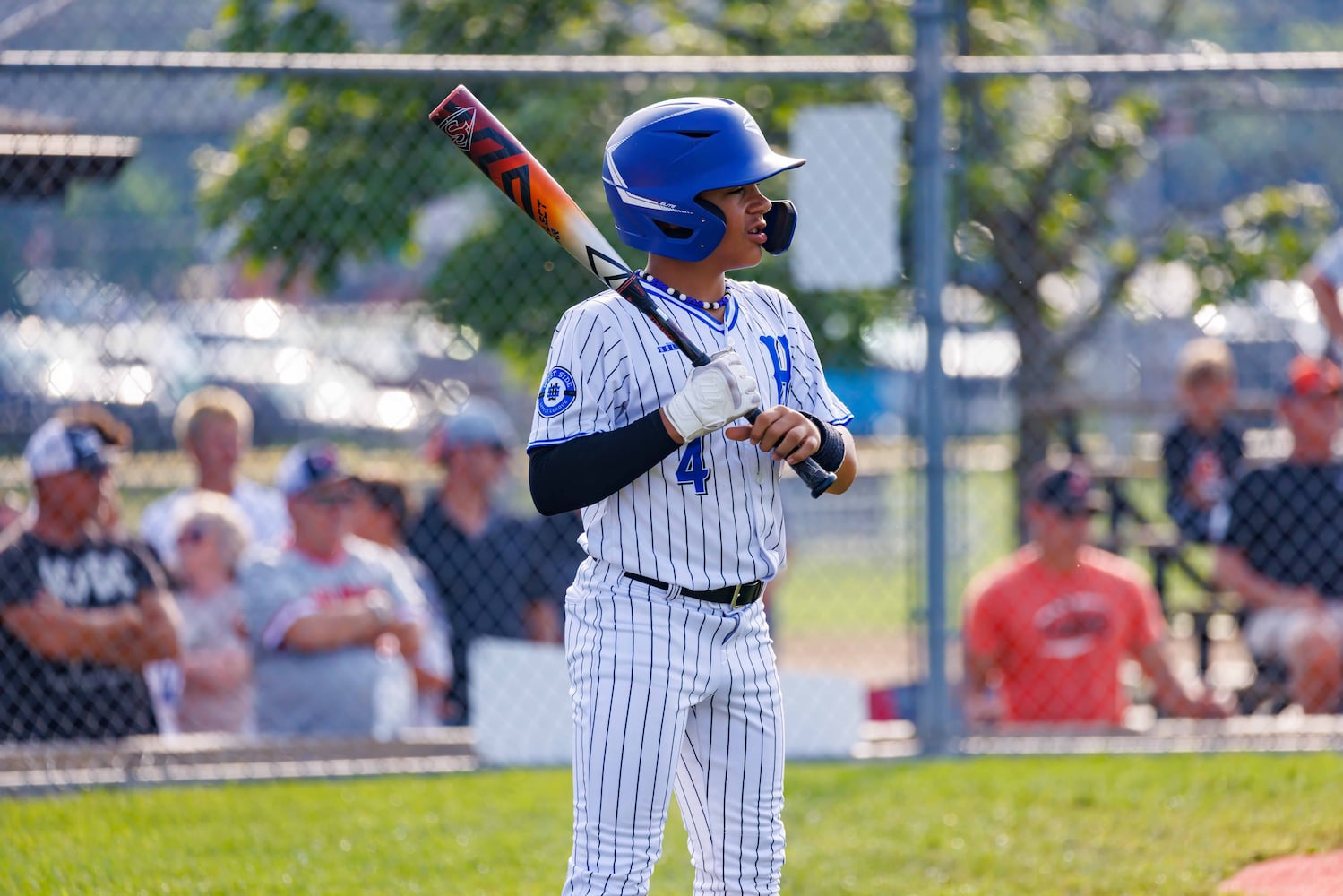 hamilton west side little league 2025