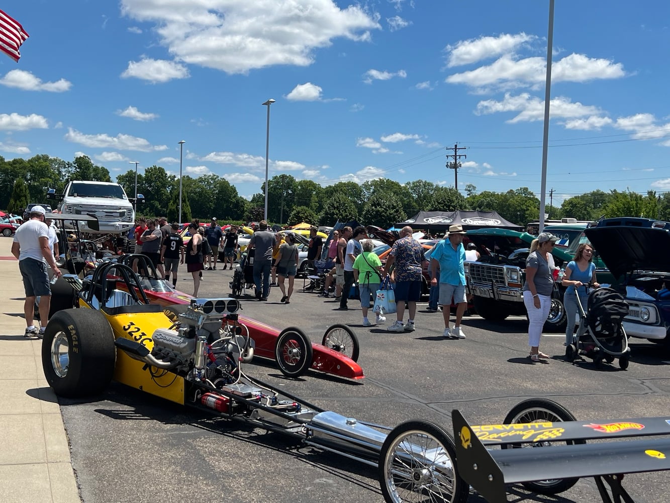 Cruise in
