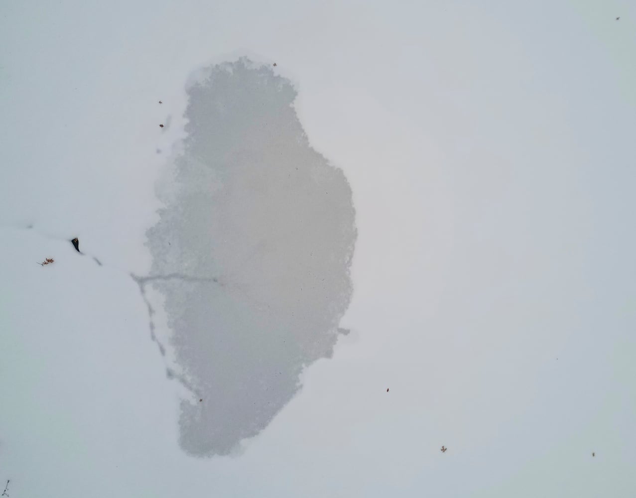 Day Two Snowstorm in Central Ohio