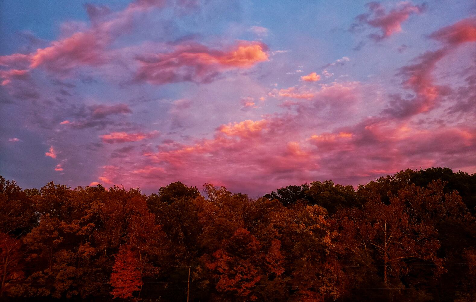 Fall colors October 2020