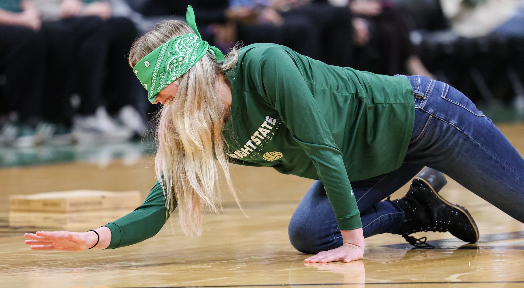 DDN 110325 Franklin College Wright State