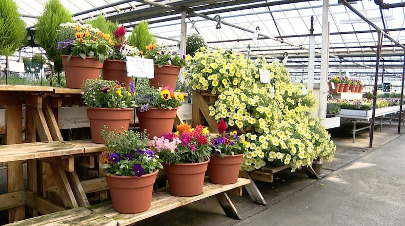A blend of flowers at AJ Rahn Greenhouses. ANDREW ROWAN/WCPO