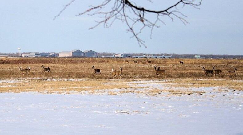 Huffman Prairie at Wright-Patterson Air Force Base includes white tail deer and other natural resources.