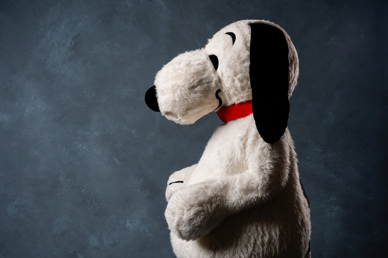 A person dressed as the character Snoopy poses for a portrait to promote the 75th anniversary of "Peanuts" during Comic-Con International on Thursday, July 24, 2025, in San Diego. (AP Photo/Chris Pizzello)